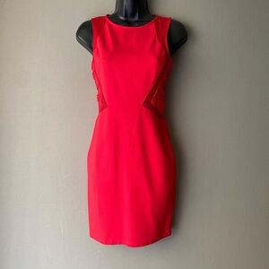 Parker Vibrant Red Mini Dress Bodycon with mesh sides